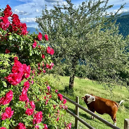 Berghütte Reissnerhof Сasa de vacaciones