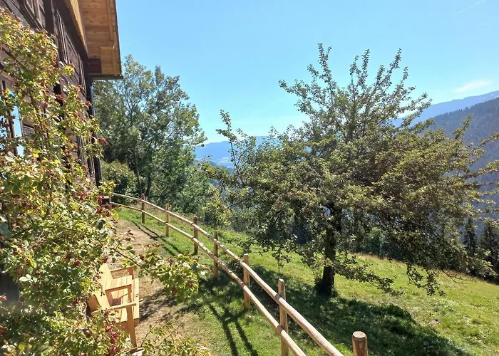 Berghuette Reissnerhof *