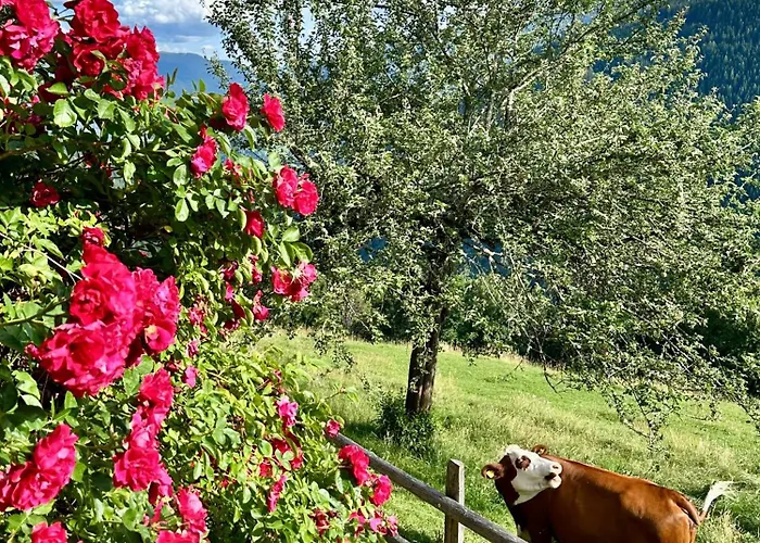 Berghuette Reissnerhof Prázdninový dům